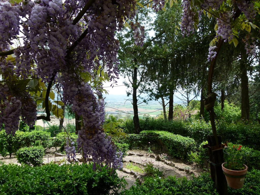 Bed and Breakfast Casa Fiorita Sant'Enea Экстерьер фото