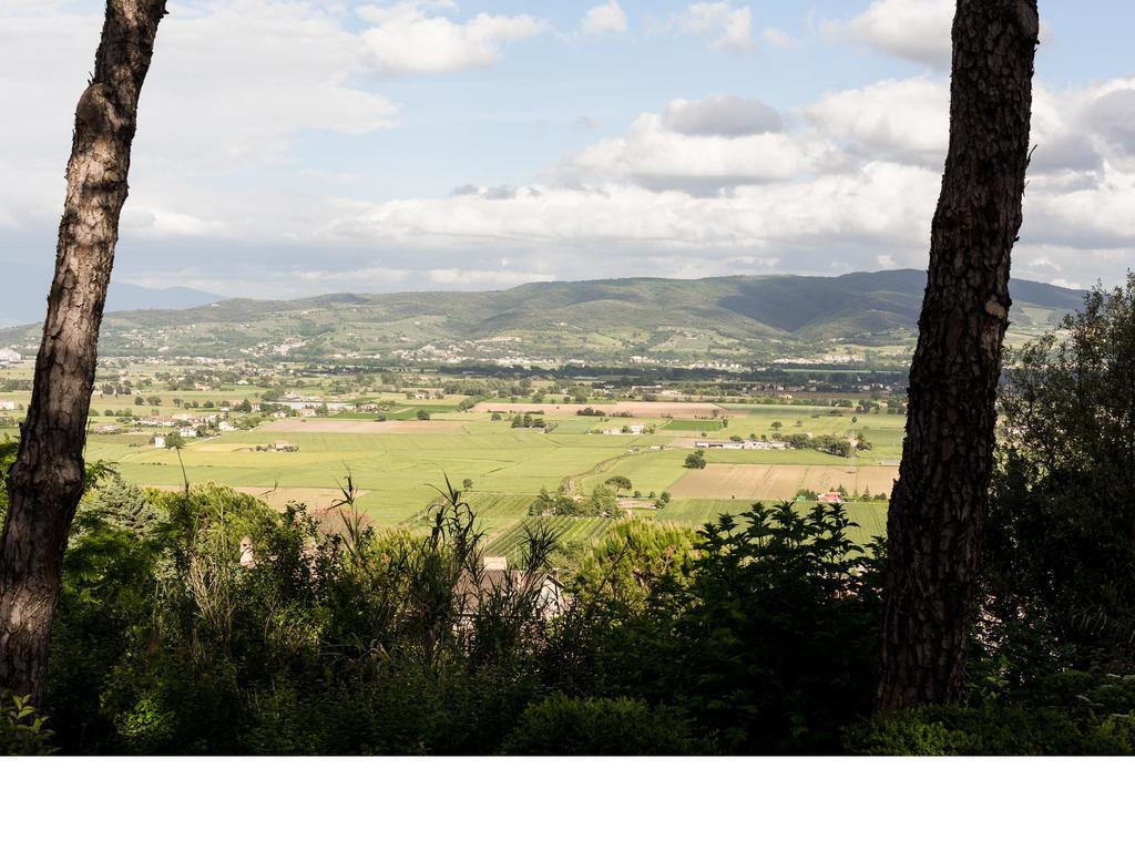 Bed and Breakfast Casa Fiorita Sant'Enea Экстерьер фото